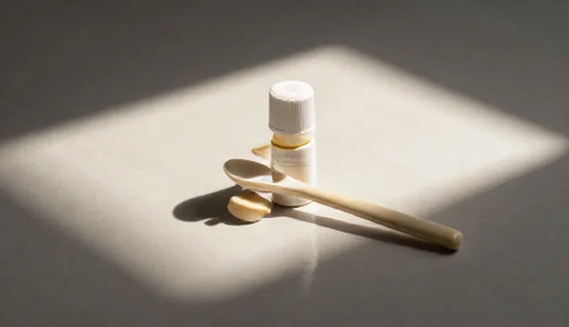 ai提示词交易运营的使用与维护建议